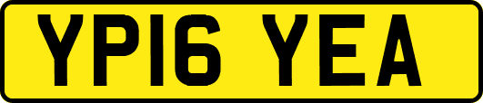 YP16YEA