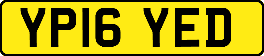 YP16YED