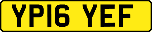 YP16YEF