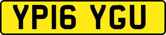 YP16YGU