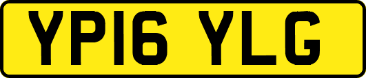 YP16YLG