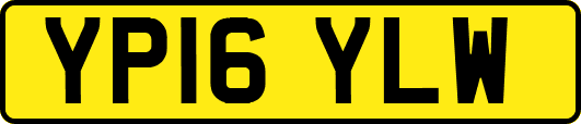 YP16YLW