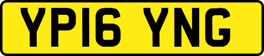 YP16YNG