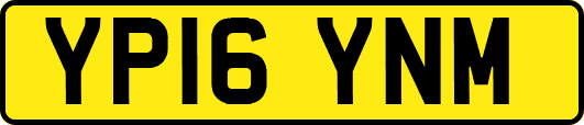 YP16YNM