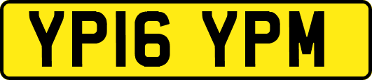 YP16YPM