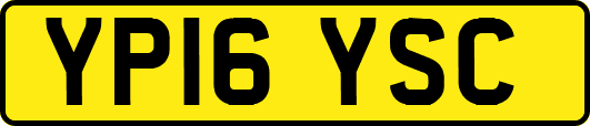 YP16YSC