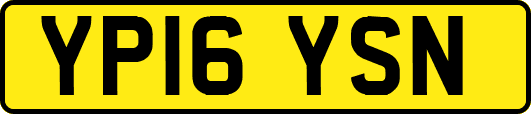 YP16YSN