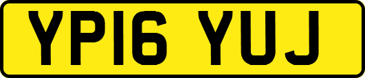 YP16YUJ