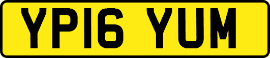 YP16YUM