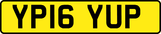YP16YUP