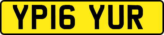 YP16YUR