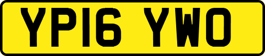 YP16YWO