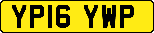 YP16YWP