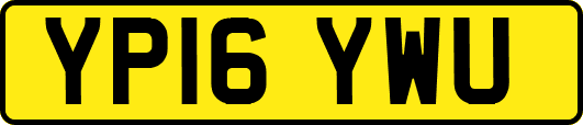 YP16YWU