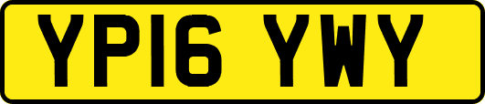 YP16YWY