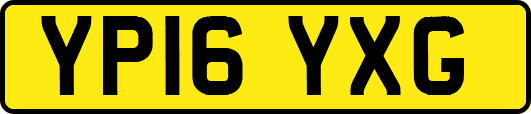 YP16YXG