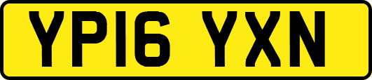 YP16YXN