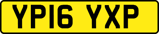 YP16YXP