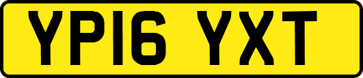 YP16YXT