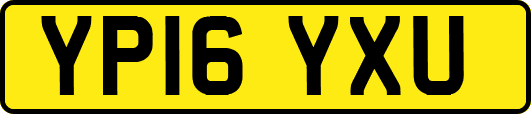 YP16YXU