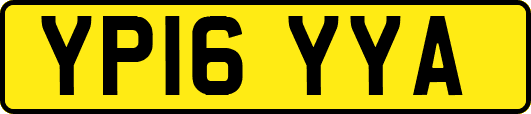 YP16YYA