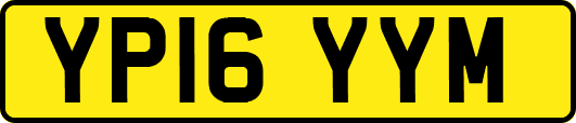 YP16YYM