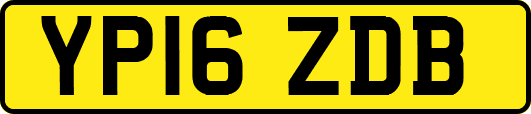 YP16ZDB
