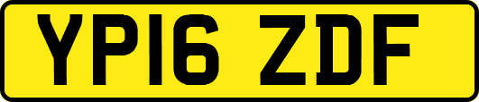 YP16ZDF