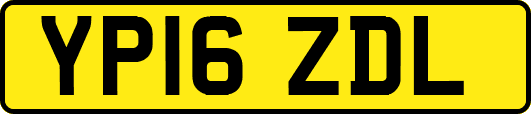 YP16ZDL