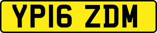 YP16ZDM