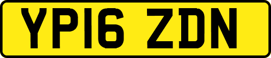YP16ZDN