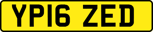 YP16ZED