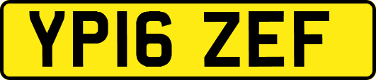 YP16ZEF