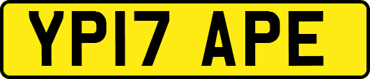 YP17APE