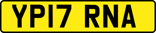 YP17RNA