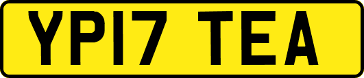 YP17TEA