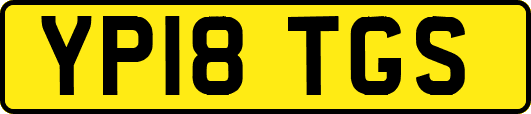 YP18TGS
