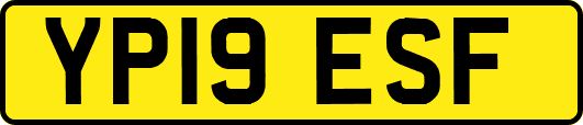 YP19ESF