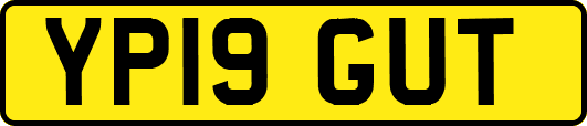 YP19GUT