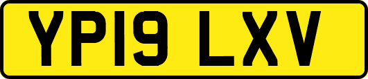 YP19LXV