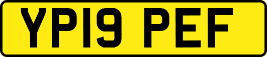 YP19PEF