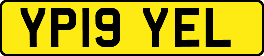 YP19YEL