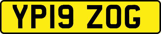 YP19ZOG