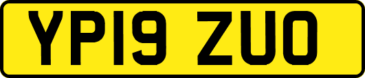 YP19ZUO