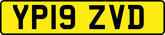 YP19ZVD