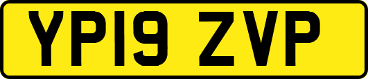 YP19ZVP