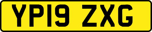 YP19ZXG