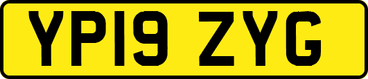 YP19ZYG