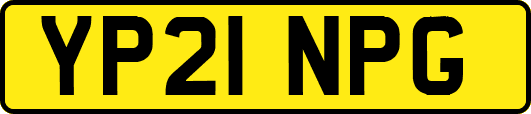 YP21NPG