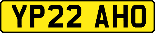 YP22AHO